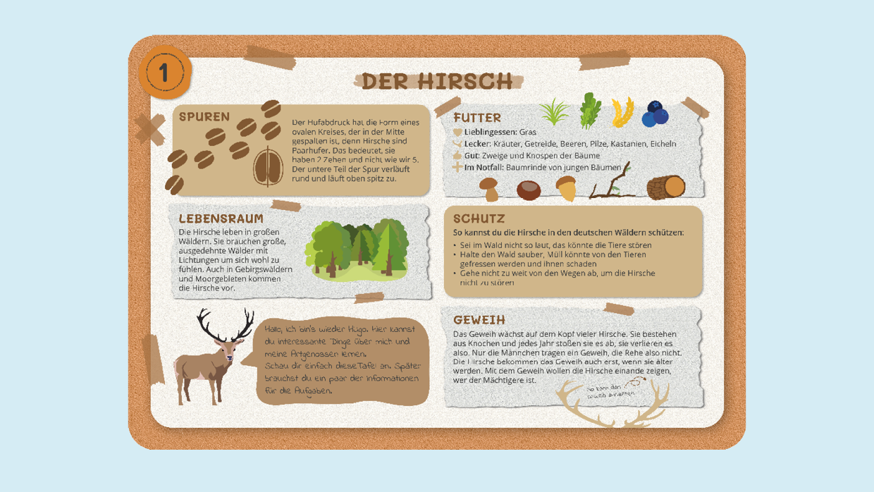 Bild 4: Lerntafel über Hirsche